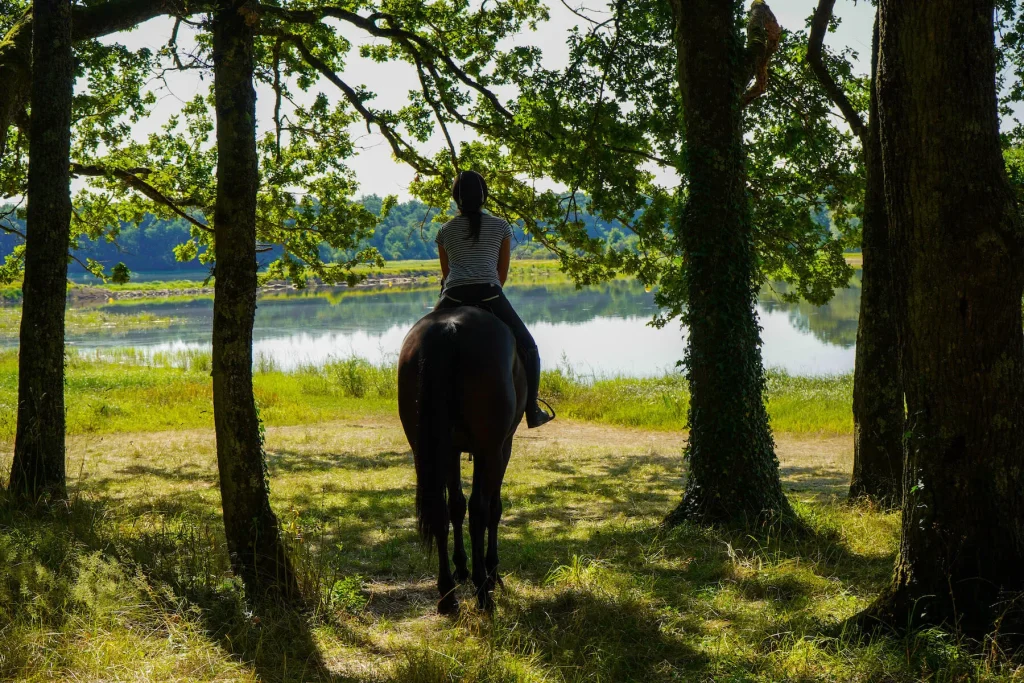 Promenade à cheval au lac du Bourdon à Saint-Fargeau
