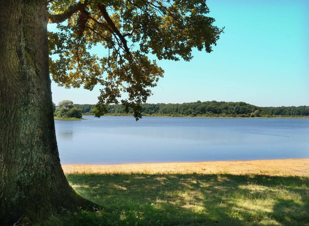 Plage du lac du Bourdon à Saint-Fargeau