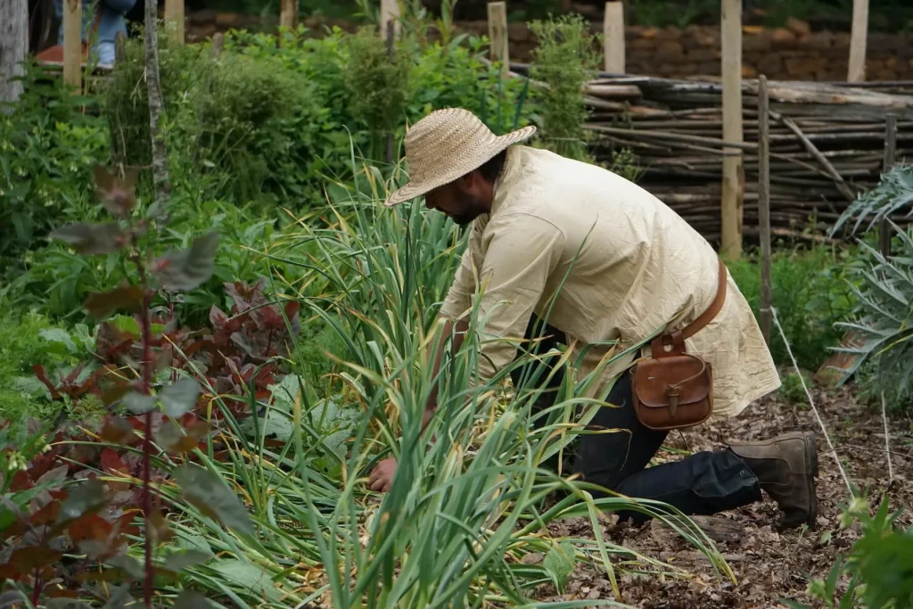 Potager de Guédelon