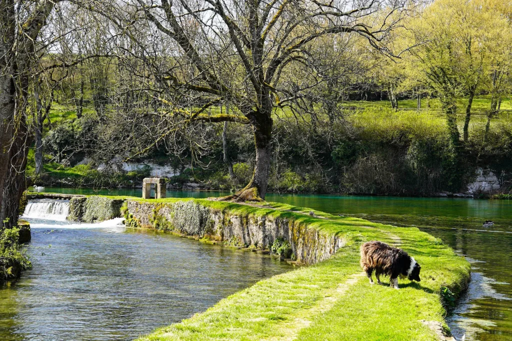 Walk to the springs basin in Druyes the beautiful fountains