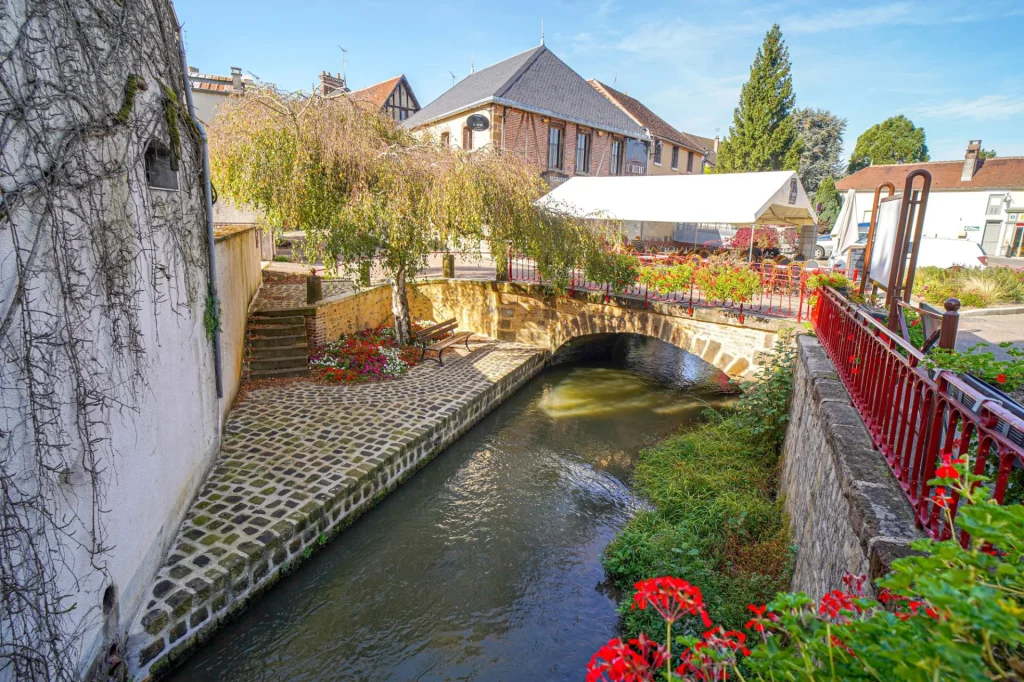 Village of Saint-Fargeau in Puisaye