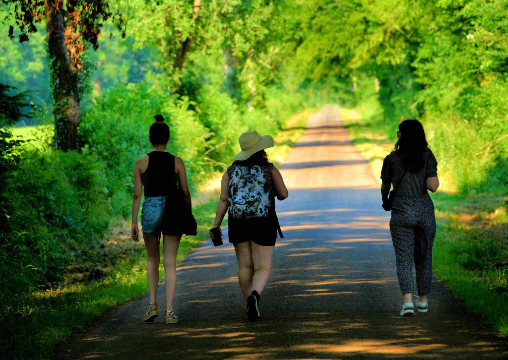 Hiking on a shady road in summer