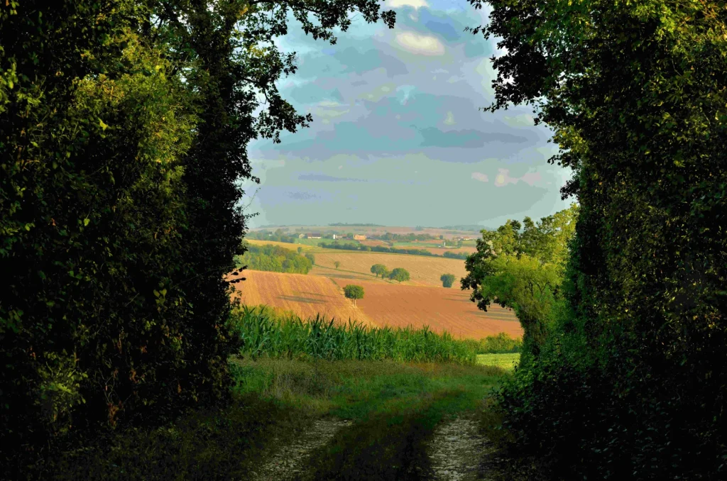 Un chemin de randonnée avec une vue sur la campagne de Forterre