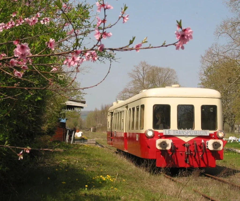 Le Train Touristique au printemps