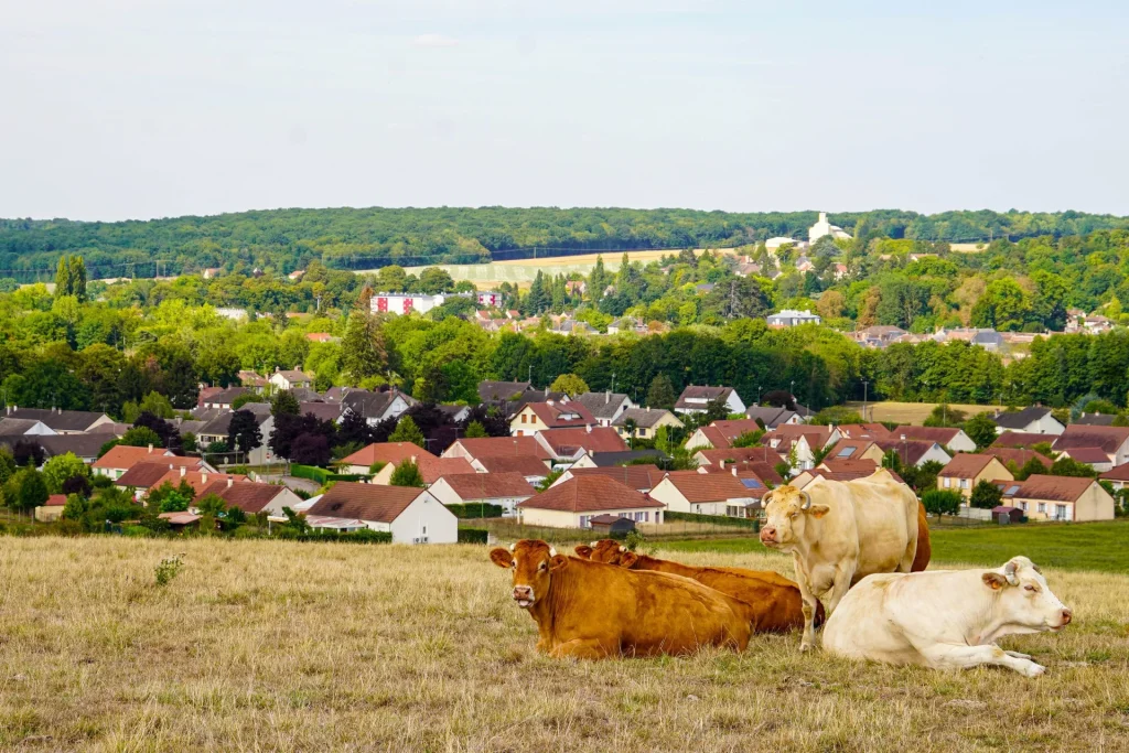 View of the village of Charny Orée from Puisaye