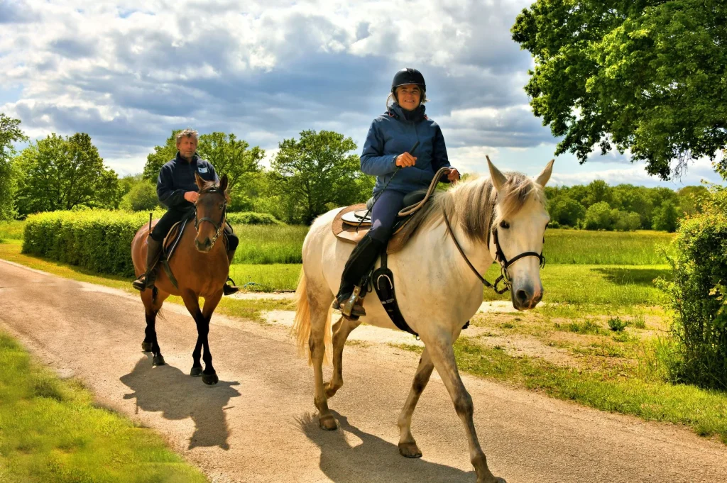 Horseback riding in Puisaye-Forterre