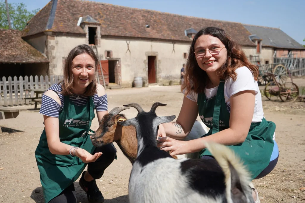 Soins des animaux à la Ferme du château de Saint-Fargeau