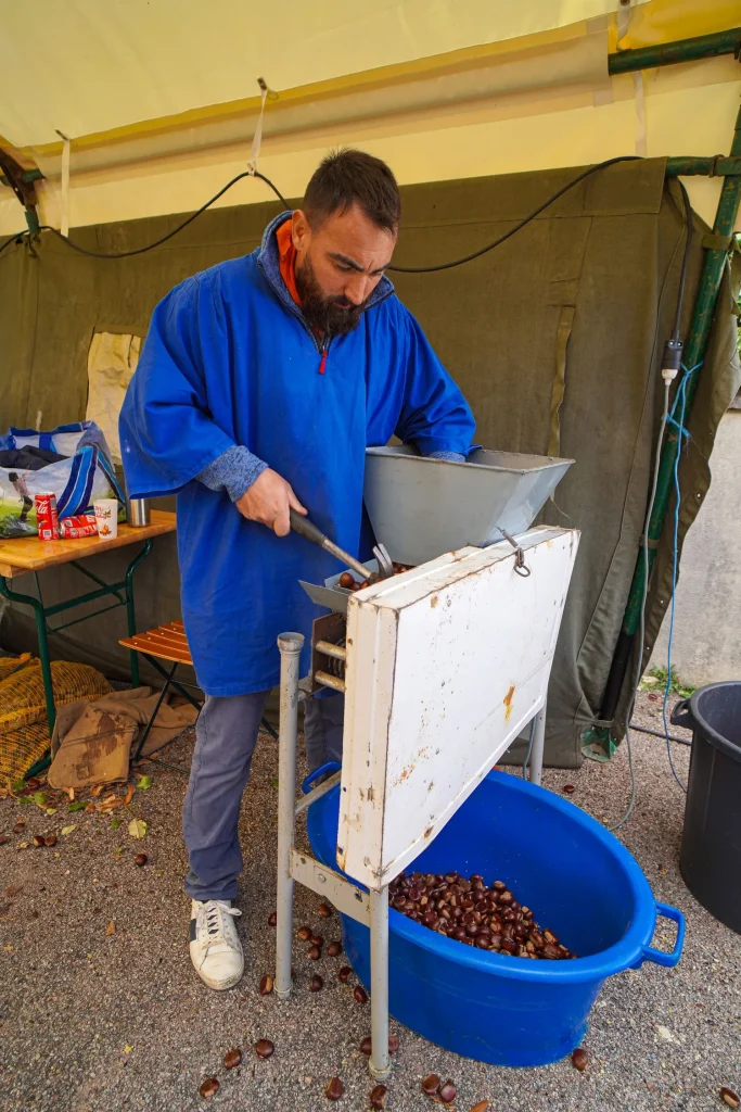 Guillaume fend les Châtaignes avant la cuisson à la fête de Diges