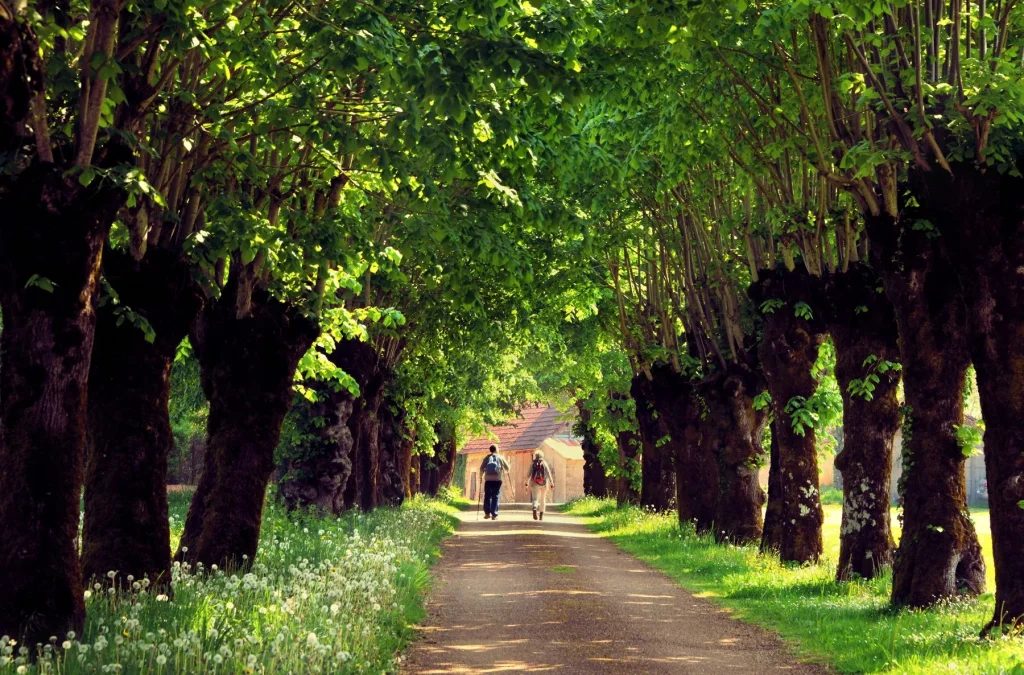 Hikers on a shaded path in Perreuse