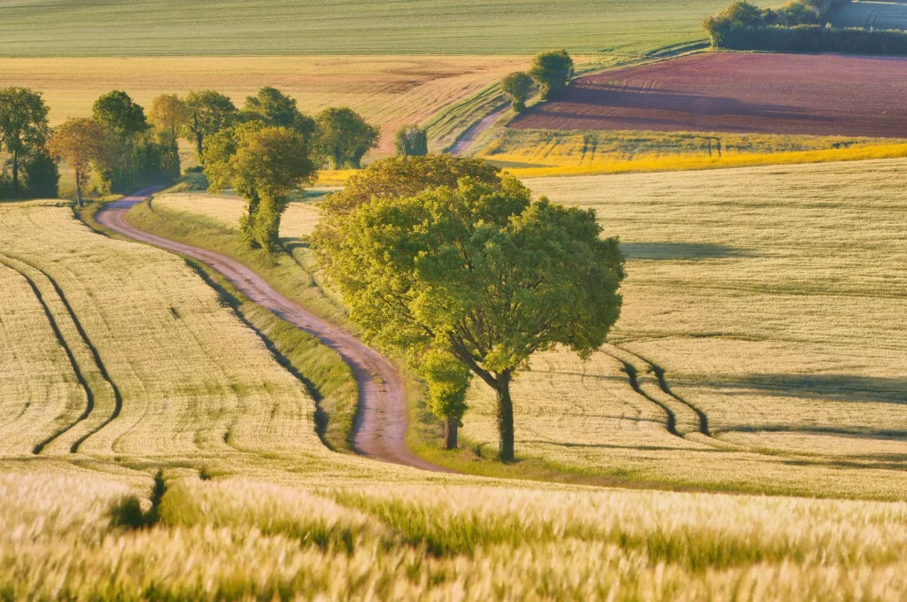 An air of Tuscany in spring in Puisaye