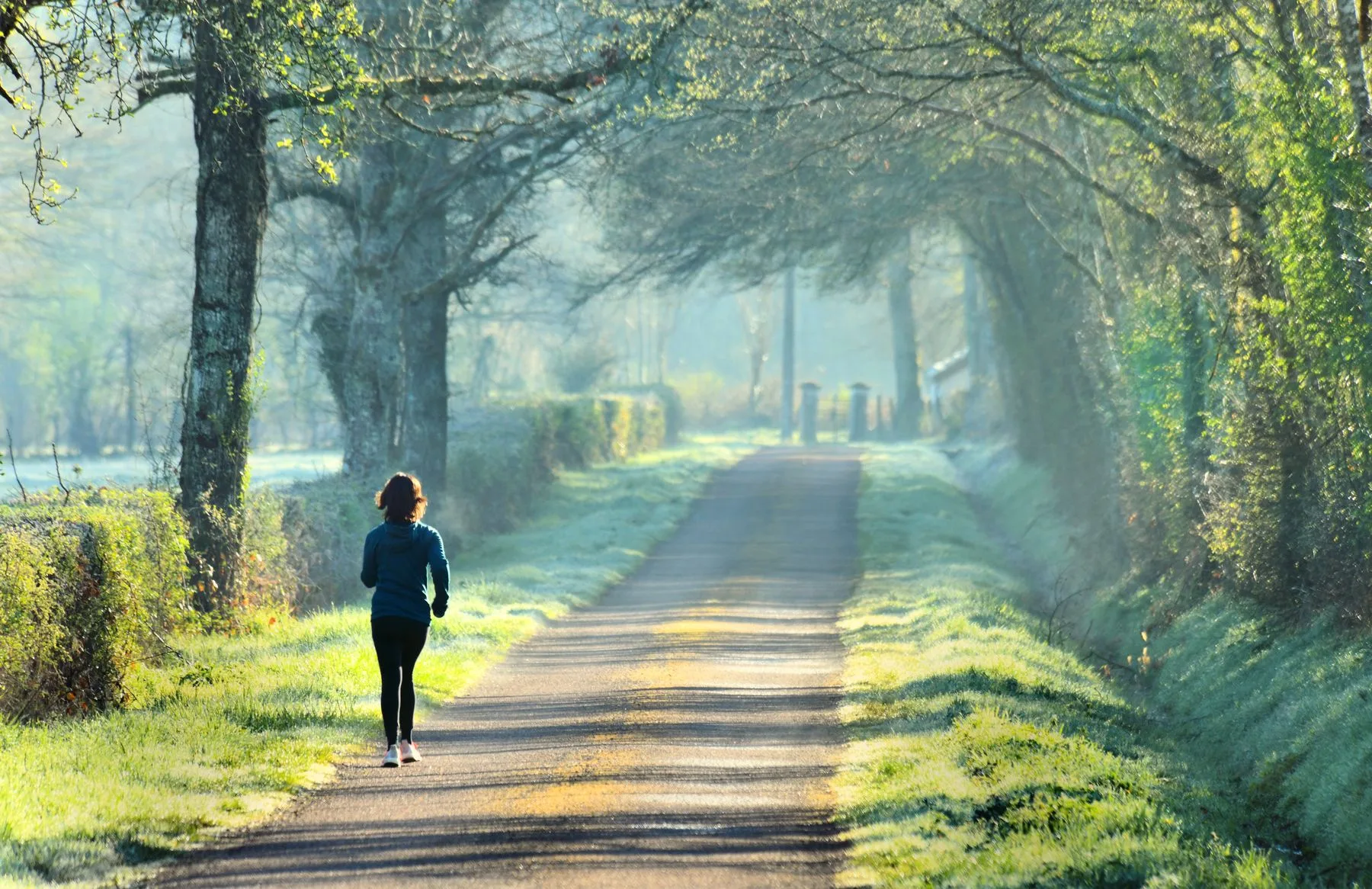 Jogging and hiking in the open air on our roads in Puisaye-Forterre