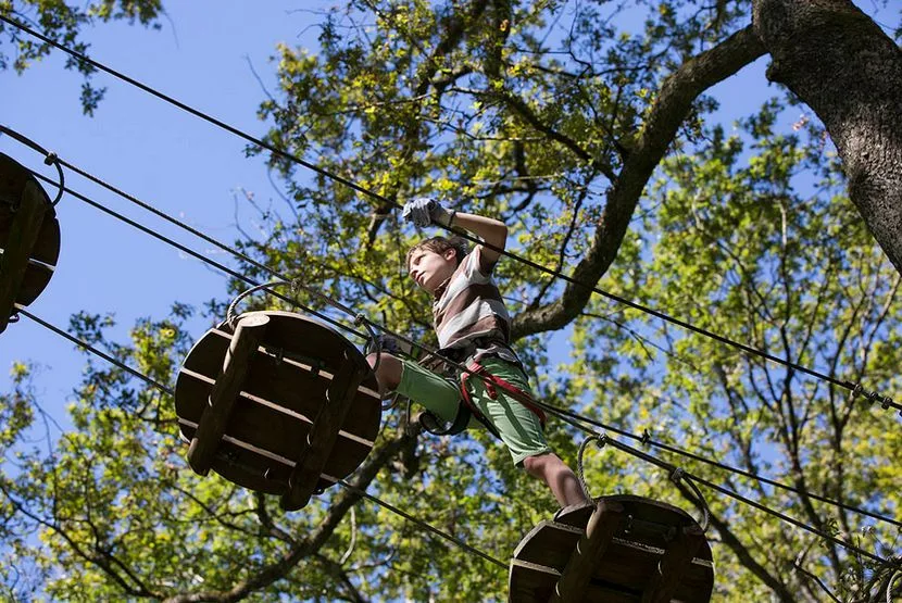 Parcours dans les arbres pour enfants