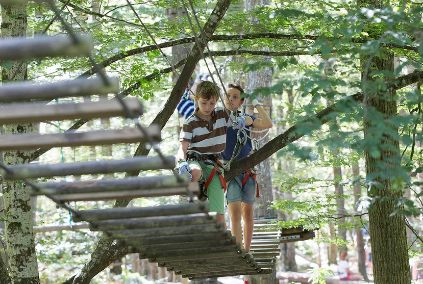 Enfants qui font le parcours dans les arbres