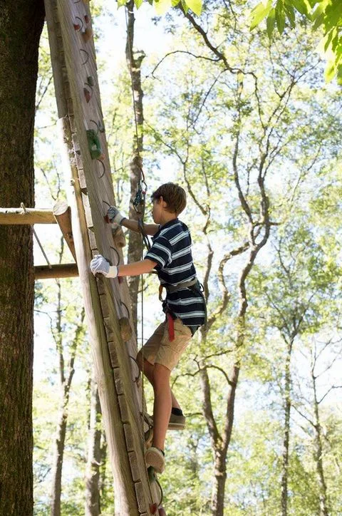 Adolescent qui réalise les parcours d'accrobranche