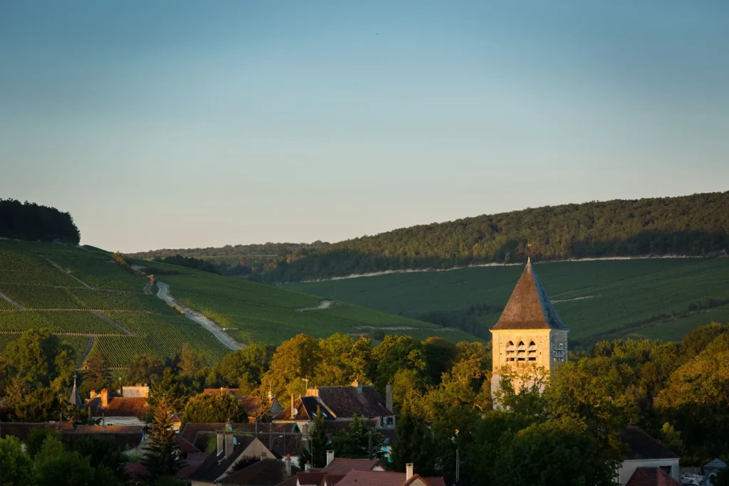 Landscapes of Chablis and its emblematic vineyards