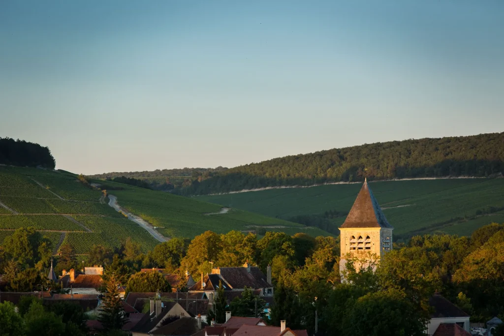 Paysages de Chablis et ses vignobles emblématiques