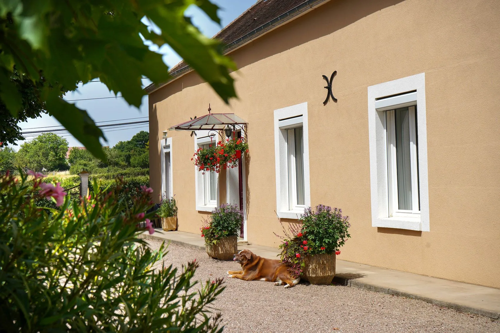 Hébergement avec son chien en Puisaye-Forterre