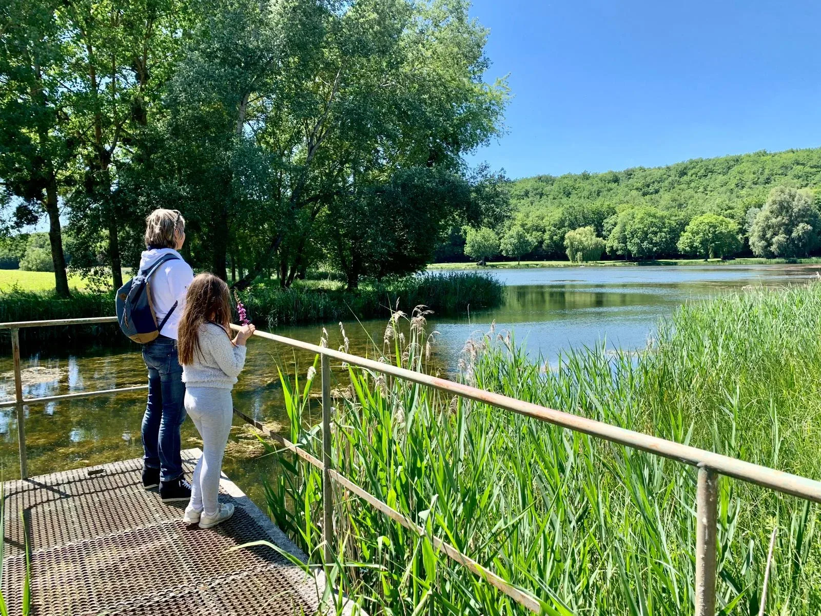 Sentier du Marais d'Andryes en Puisaye-Forterre