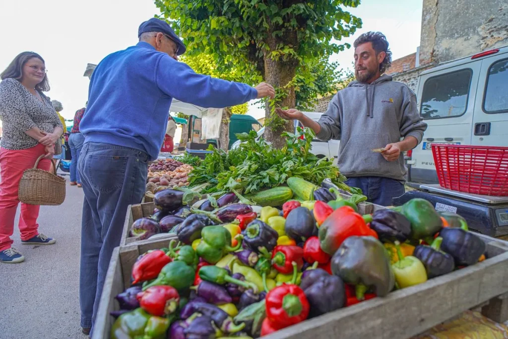 Saint-Fargeau Friday morning market