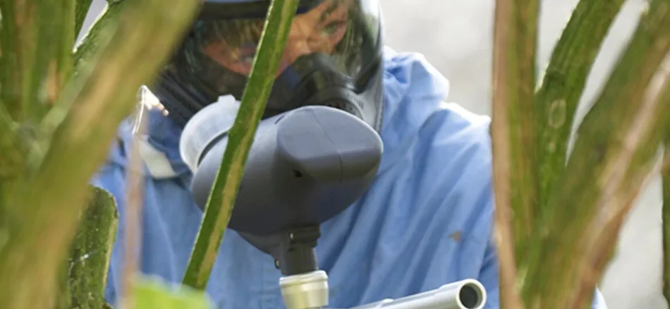 Paintball at the Bois de la Folie Adventure Park