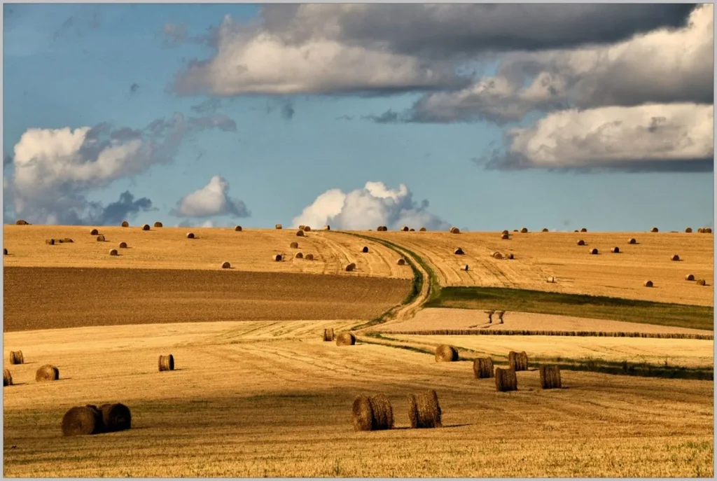 Hiking and landscape of Puisaye-Forterre after the harvest