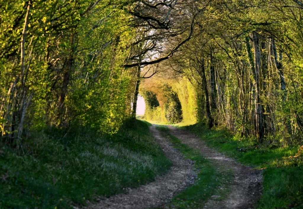 Chemin de randonnée en Forterre