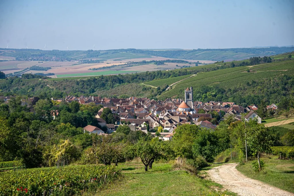 Vue sur le village d'Irancy et ses vignobles.