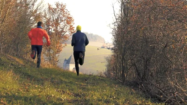 Trail circuits in Puisaye-Forterre