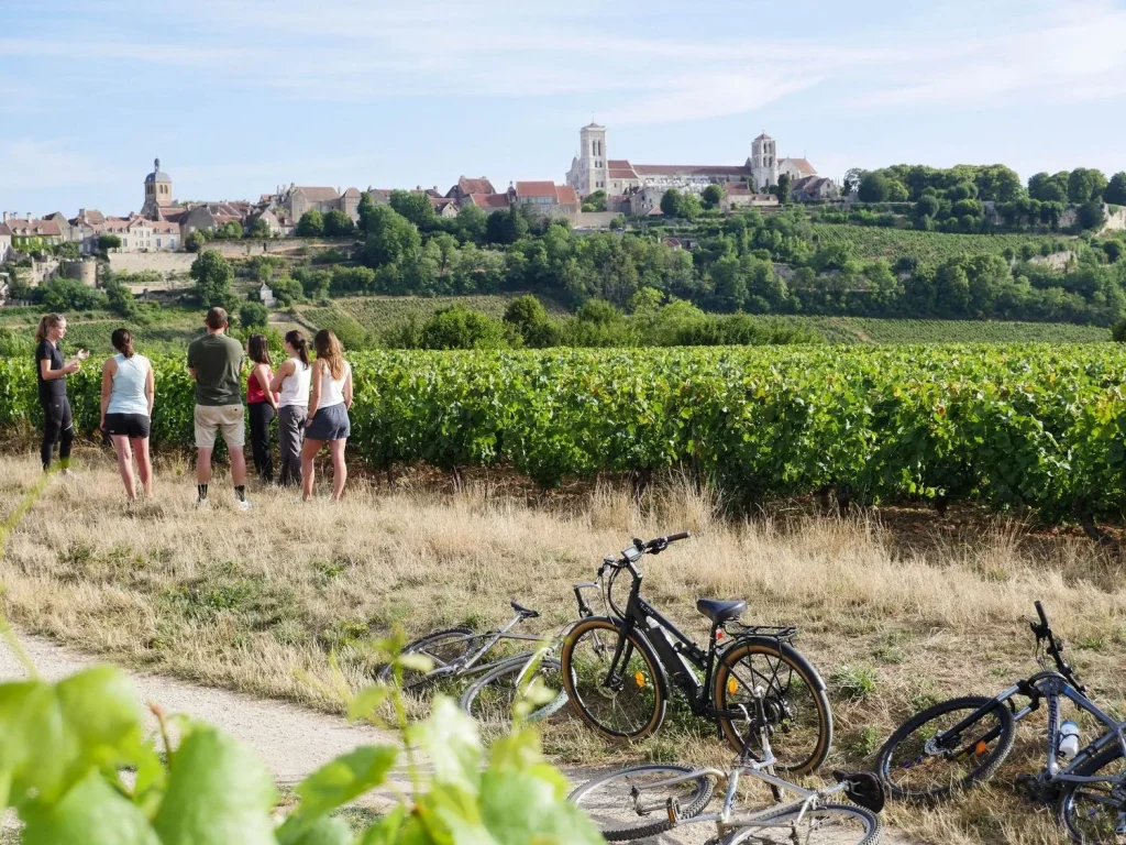 A vélo à travers les vignes du territoire de Vezelay