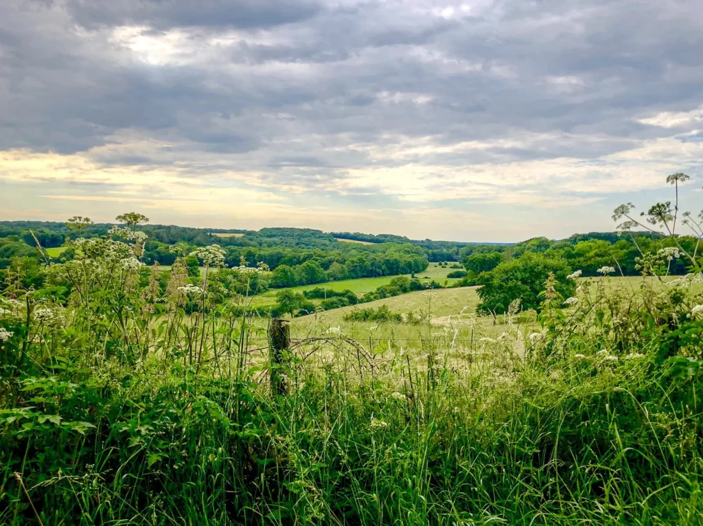 view from Les Proux on the road to Mézilles