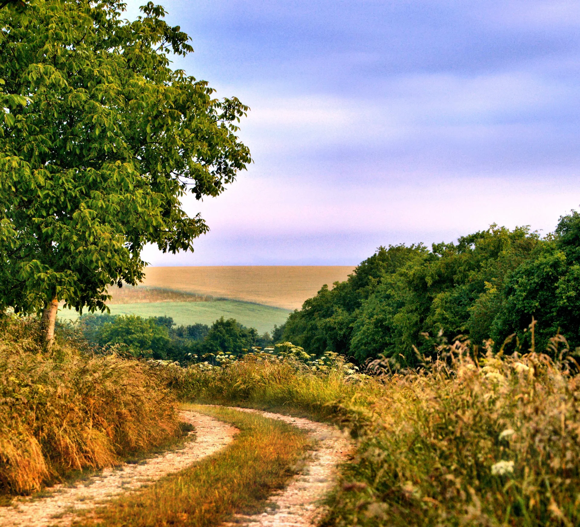 Panoramic hiking trail