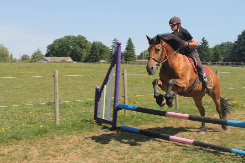 Sports équestres au domaine de l'Esperance