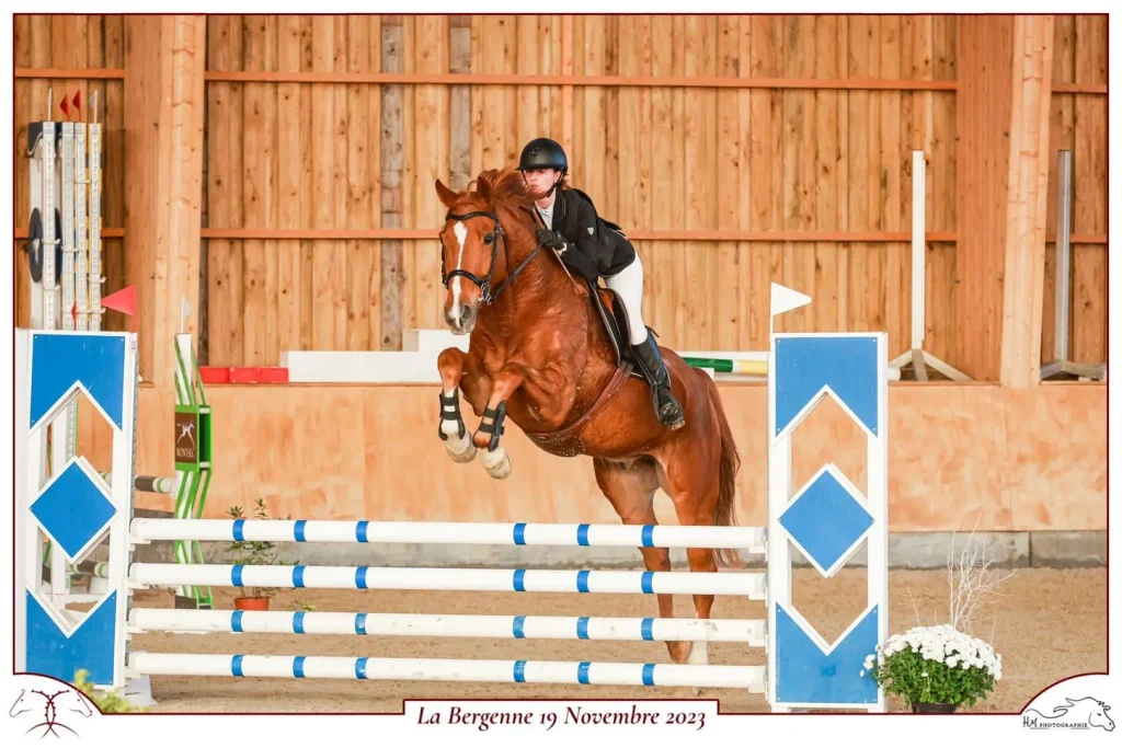 Saut d'obstacle à la Bergenne lors d'un concours