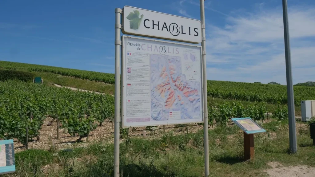 The Chablis vineyard to discover