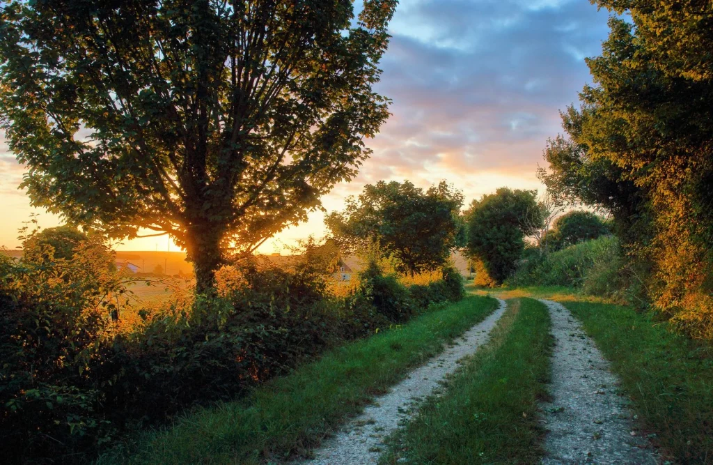 chemin de puisaye au soleil couchant