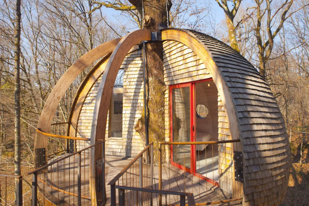 Galants sphere nest in Saint-Vérain