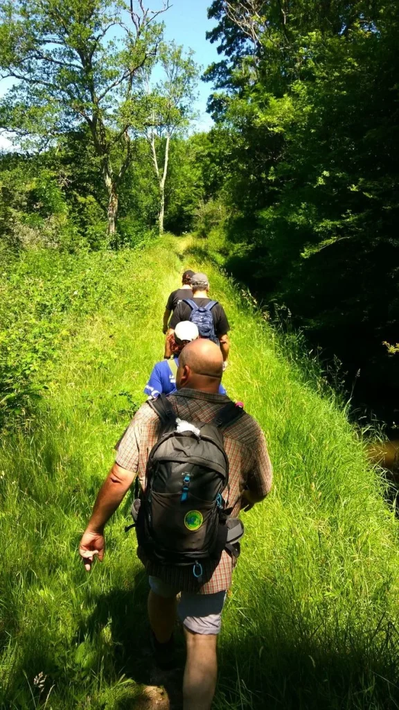 Parcours et caches de Géocaching en Puisaye-Forterre