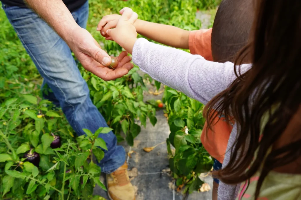 goûter les bons produits au jardin des thorains