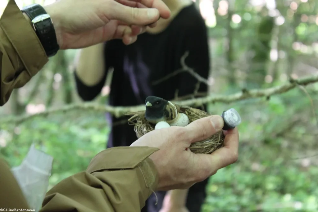 Parcours et caches de Géocaching en Puisaye-Forterre