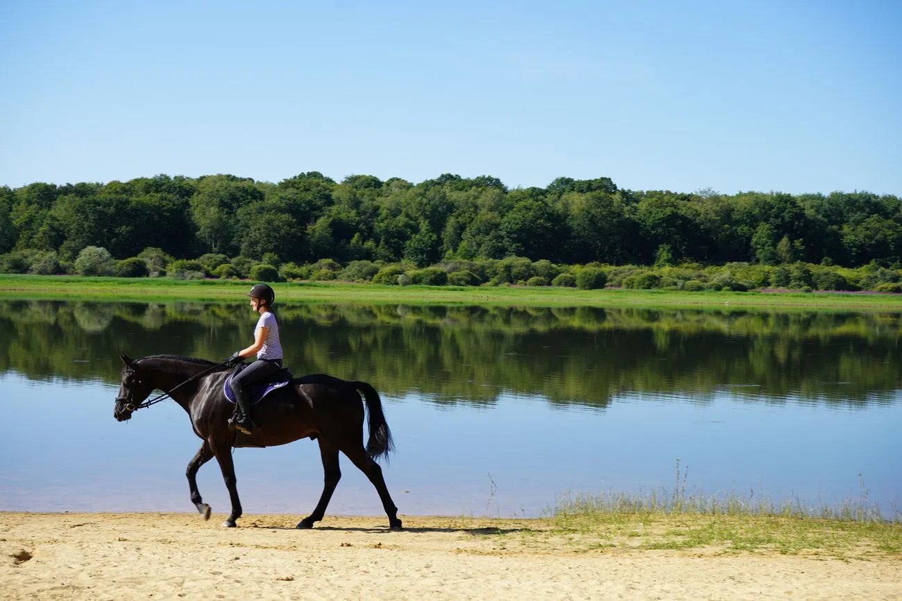 Promenade à cheval au Lac du Bourdon