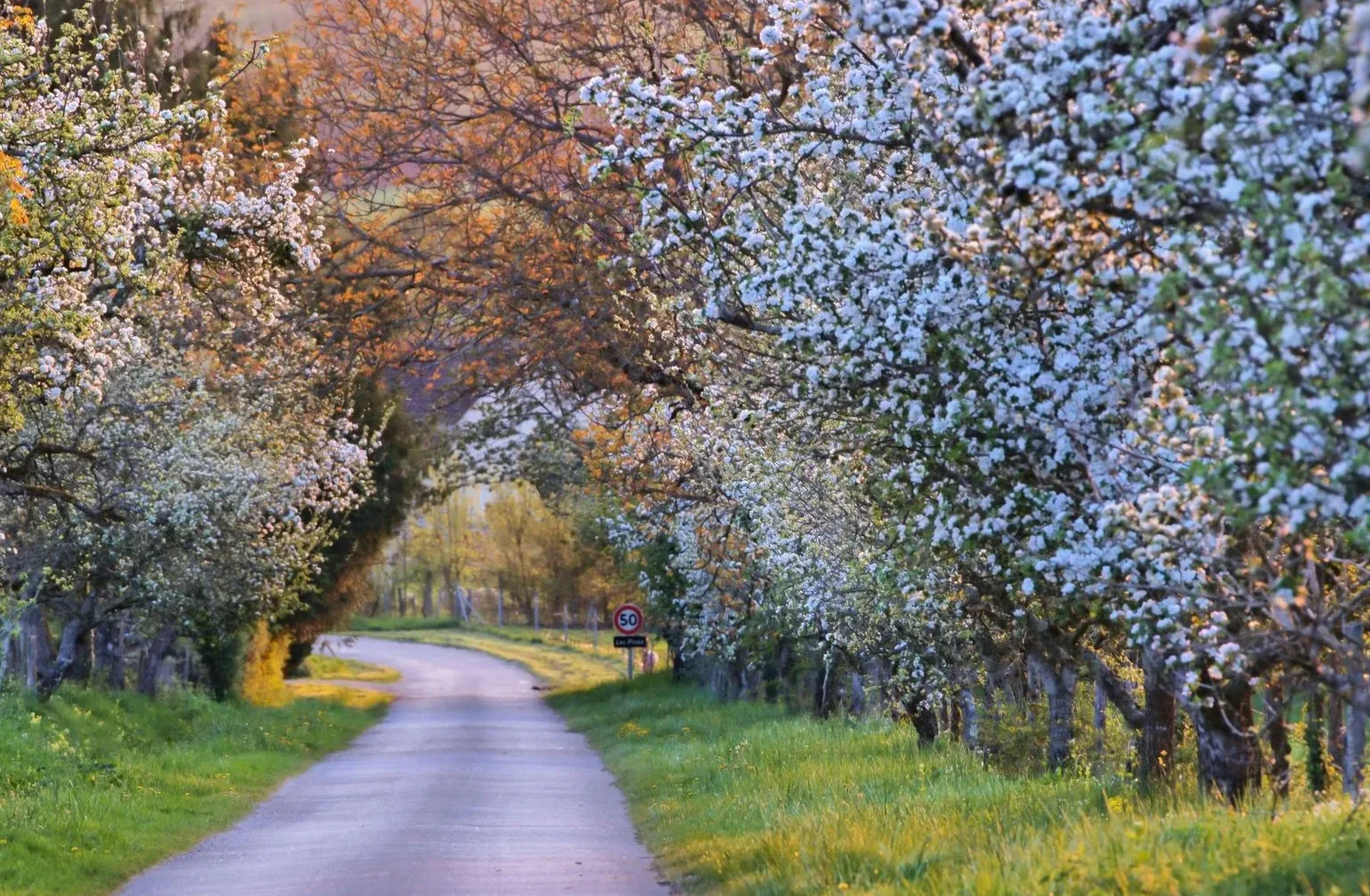 Paysage de Printemps en Puisaye-Forterre