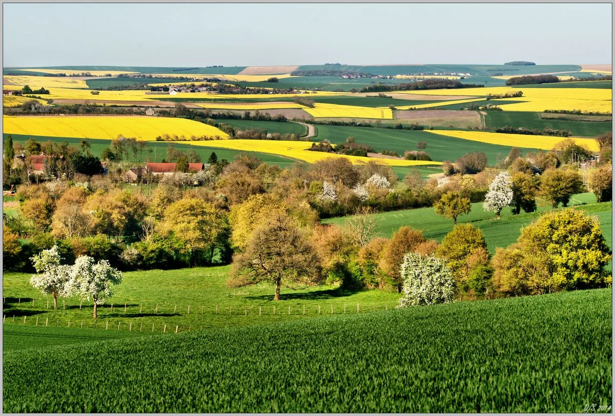 Paysage de Printemps en Puisaye-Forterre