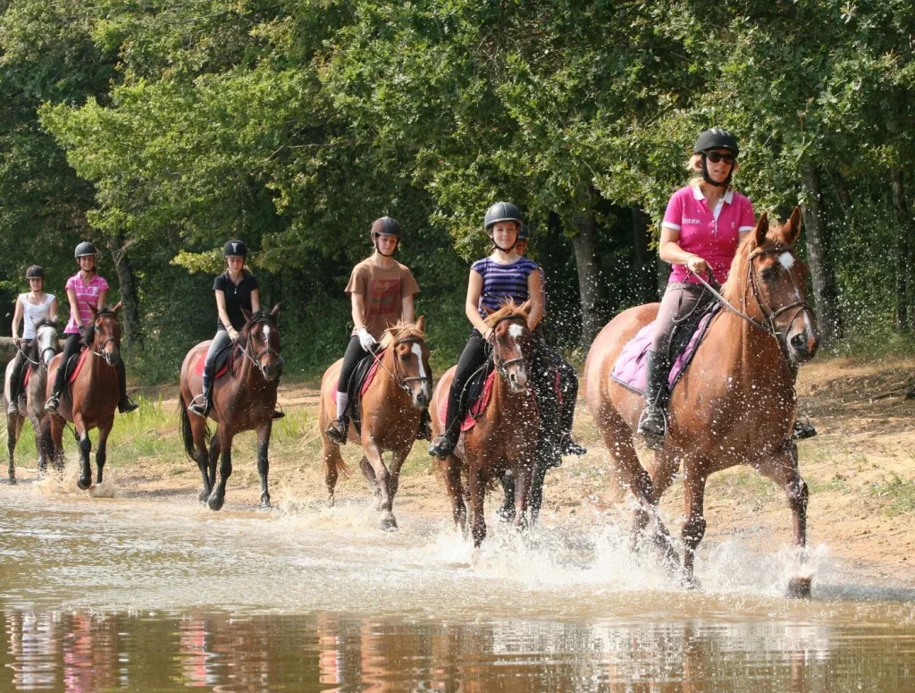 Equestrian course at the Grilles equestrian domain