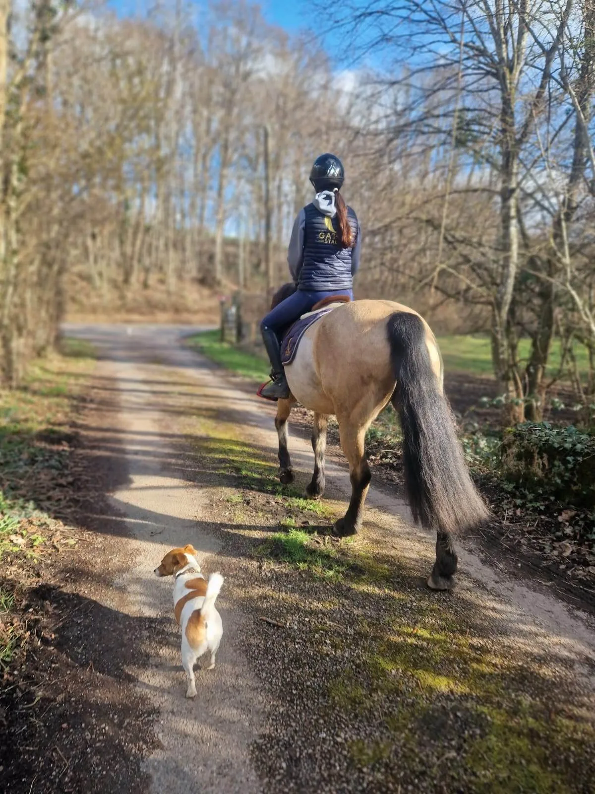 Promenade à cheval sur les chemins de Puisaye Forterre