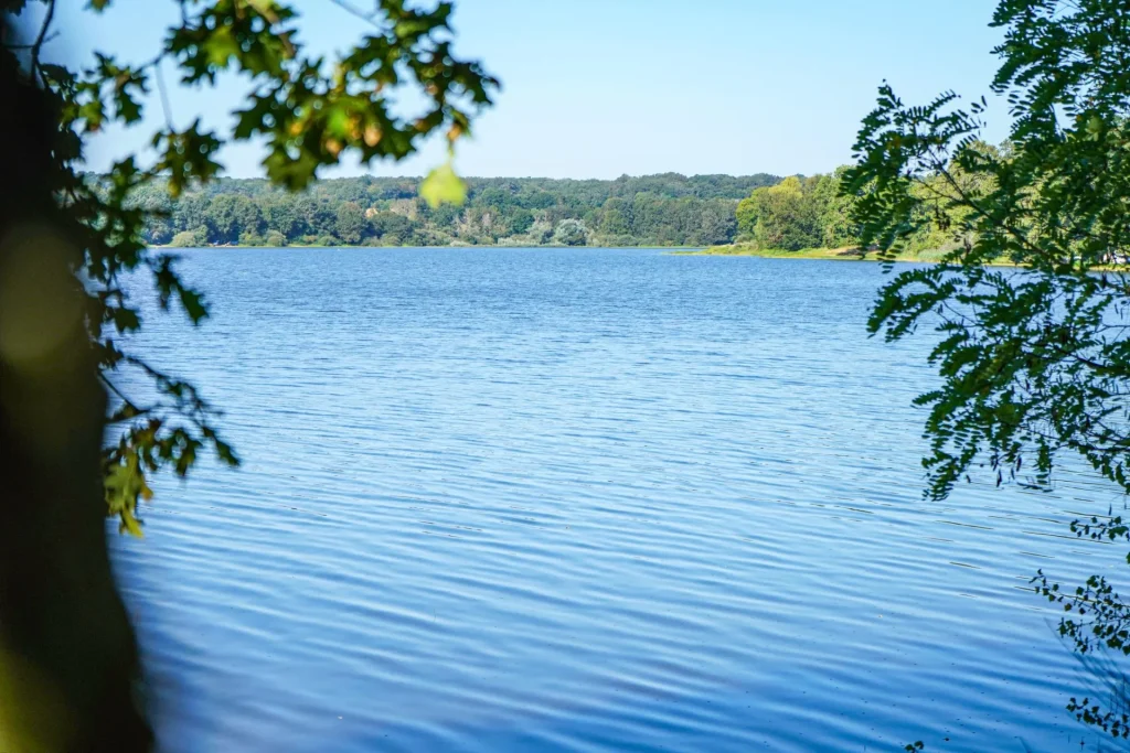 Un coin de tranquilité au bord de l'eau du lac