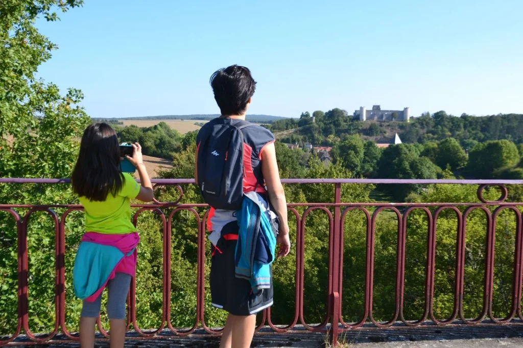 vue depuis le viaduc sur Druyes-les-Belles-Fontaines