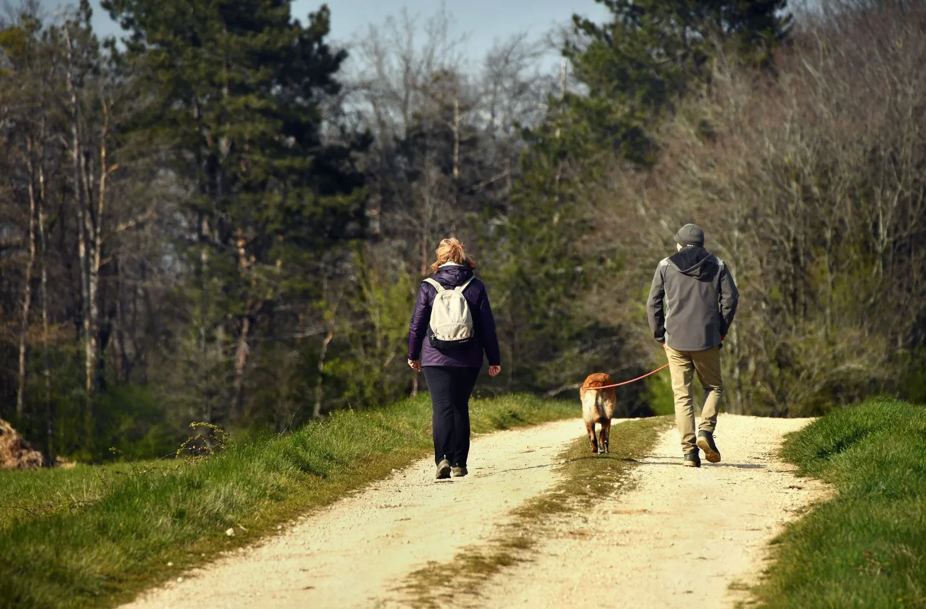 Vacances et voyage avec son chien en Puisaye-Forterre