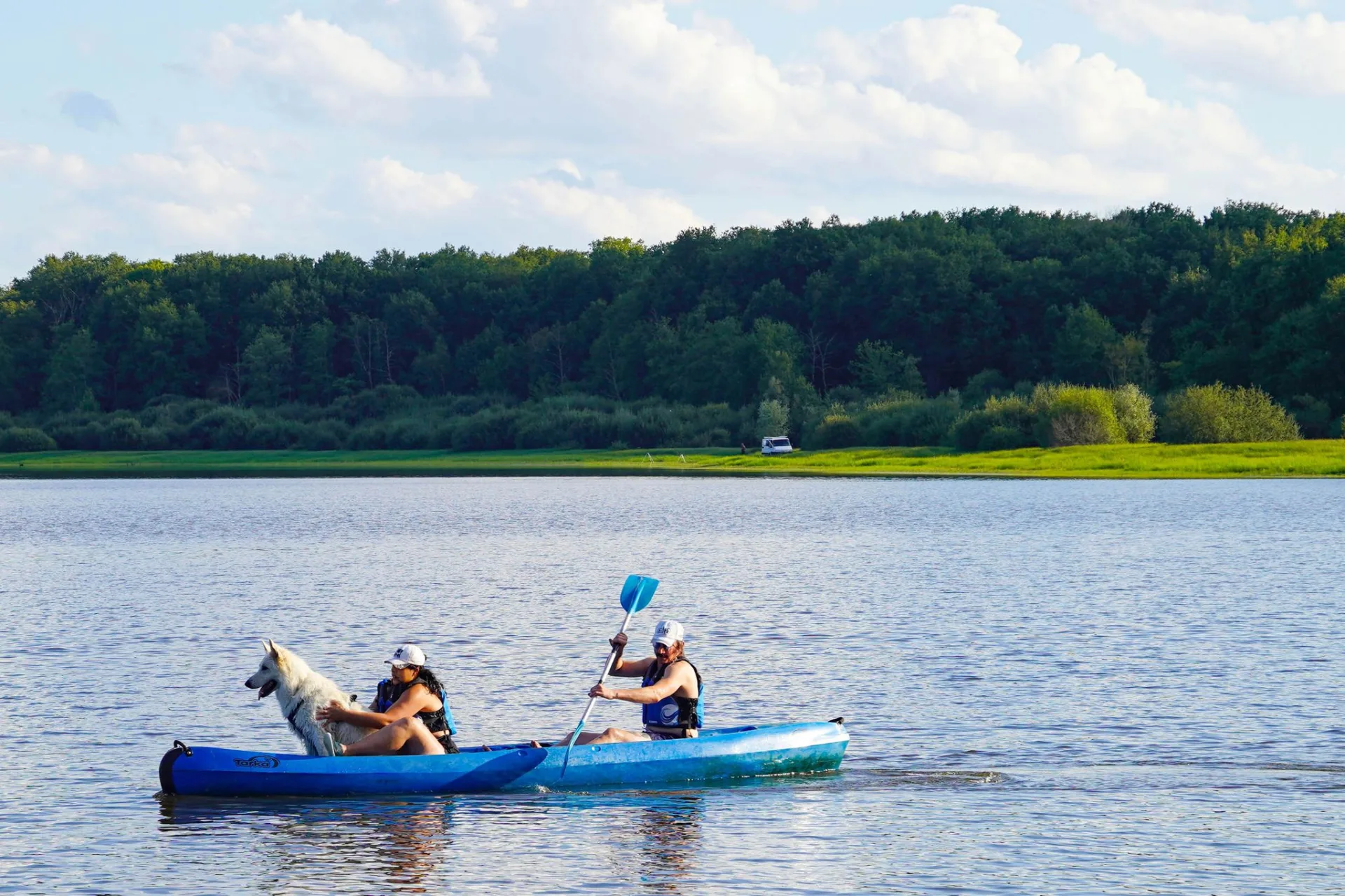 Canoë avec son chien au Lac du Bourdon à Saint-Fargeau en Puisaye