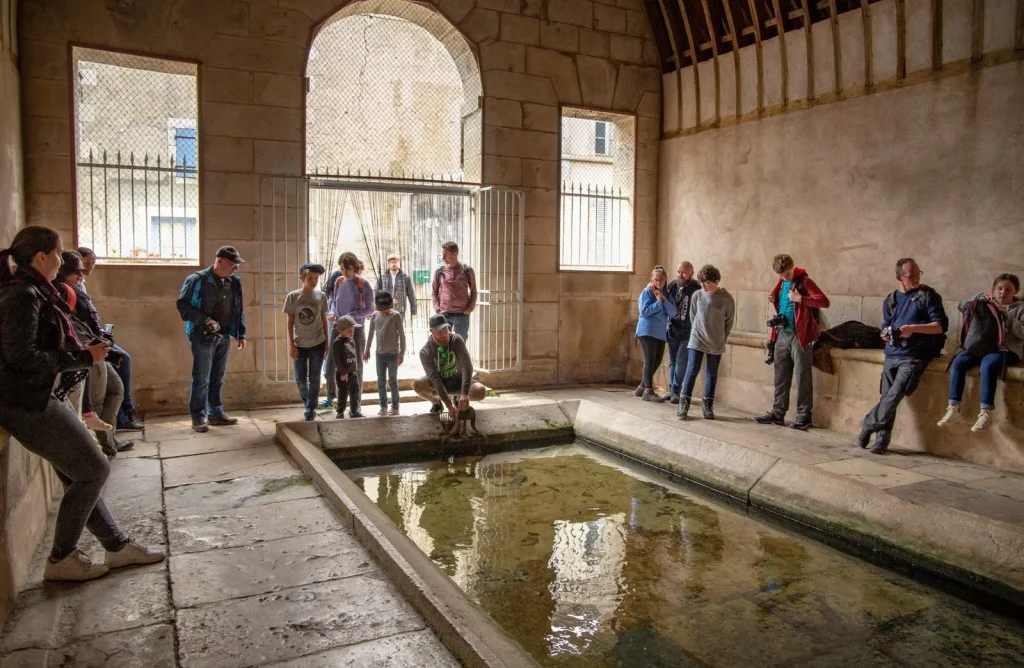 Groupe d'amis et cousinade en Puisaye près de Paris en Bourgogne