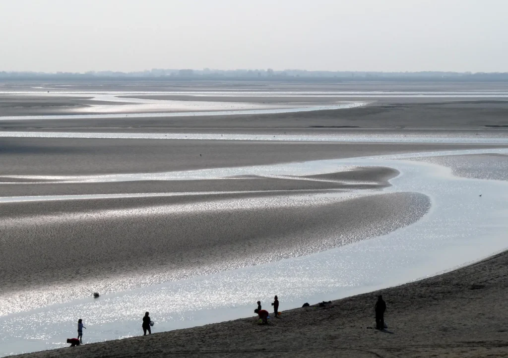 Baie de somme